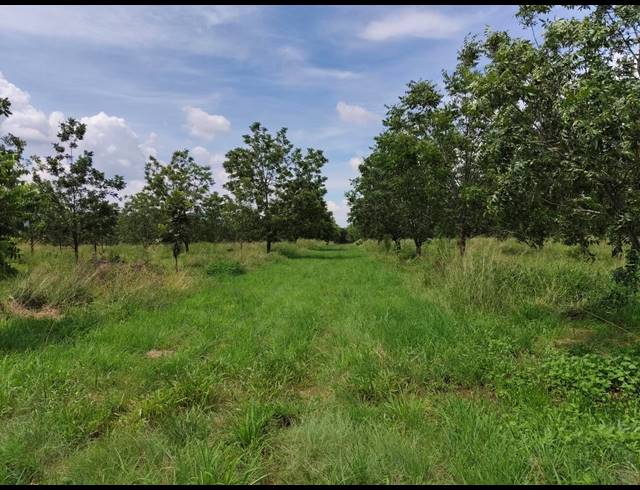 96HA FARM FOR SALE IN HEKPOORT